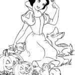 Raskrasil.com-Snow - White - 8