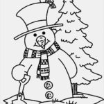 Raskrasil.com-Snowman-52