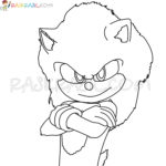 Raskrasil.com-Sonic-new-2
