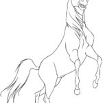 Raskrasil.com-Spirit-11