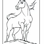 Raskrasil.com-Spirit-12