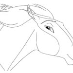 Raskrasil.com-Spirit-14