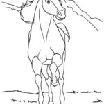 Raskrasil.com-Spirit-2