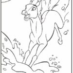 Raskrasil.com-Spirit-22