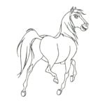 Raskrasil.com-Spirit-23