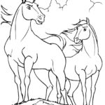 Raskrasil.com-Spirit-4