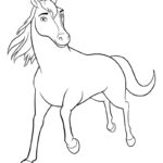 Raskrasil.com-Spirit-5