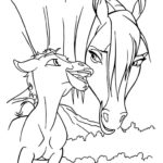 Raskrasil.com-Spirit-57