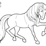 Raskrasil.com-Spirit-58