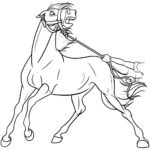 Raskrasil.com-Spirit-61