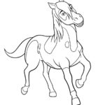 Raskrasil.com-Spirit-8