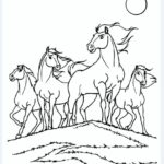 Raskrasil.com-Spirit-9