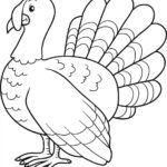 Raskrasil.com-Turkey - 10