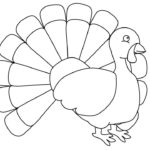 Raskrasil.com-Turkey - 102
