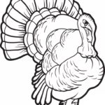 Raskrasil.com-Turkey - 11