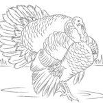 Previous Attachment