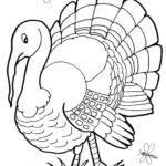 Raskrasil.com-Turkey - 15