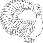Raskrasil.com-Turkey - 17