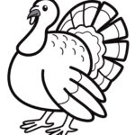 Raskrasil.com-Turkey - 2