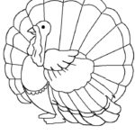 Raskrasil.com-Turkey - 22