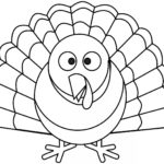 Raskrasil.com-Turkey - 23