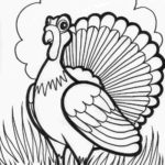 Raskrasil.com-Turkey - 25