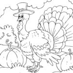Raskrasil.com-Turkey - 26