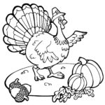 Raskrasil.com-Turkey - 27