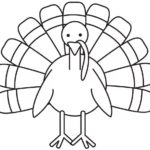Raskrasil.com-Turkey - 32