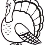 Raskrasil.com-Turkey - 33