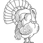 Raskrasil.com-Turkey - 4