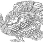 Raskrasil.com-Turkey - 40