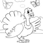 Raskrasil.com-Turkey - 48