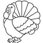 Raskrasil.com-Turkey - 54