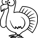 Raskrasil.com-Turkey - 55