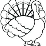 Raskrasil.com-Turkey - 57