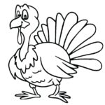 Raskrasil.com-Turkey - 60