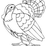 Raskrasil.com-Turkey - 66