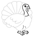 Raskrasil.com-Turkey - 67