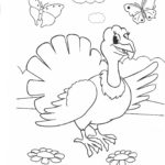 Raskrasil.com-Turkey - 79