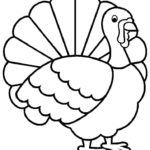 Raskrasil.com-Turkey - 8