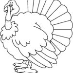 Raskrasil.com-Turkey - 80