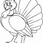 Raskrasil.com-Turkey - 87