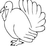 Raskrasil.com-Turkey - 89