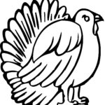 Raskrasil.com-Turkey - 90