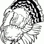 Raskrasil.com-Turkey - 91