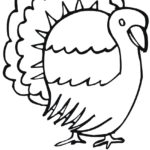 Raskrasil.com-Turkey - 93
