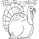 Raskrasil.com-Turkey - 96
