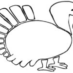 Raskrasil.com-Turkey - 98