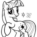 Raskrasil.com-Unicorns-33- Twilight Sparkle
